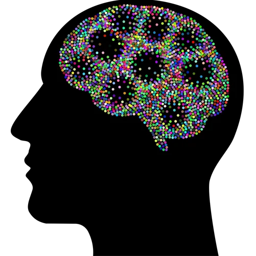 اختبارات نفسية للمراهقين 18 اختبار لقياس شدة اعراض اضطراب الشخصية السيكوباتية المعادية للمجتمع