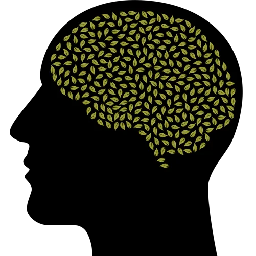 اختبارات نفسية للمراهقين 9 اختبار لقياس شدة اعراض اضطراب الشخصية النرجسية